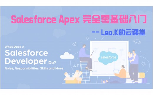 Salesforce Apex 完全零基础入门(完结)
