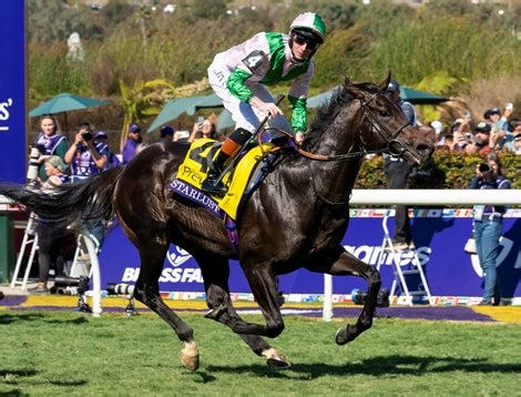 Breeders' Cup Turf Sprint: 2008 - 2024