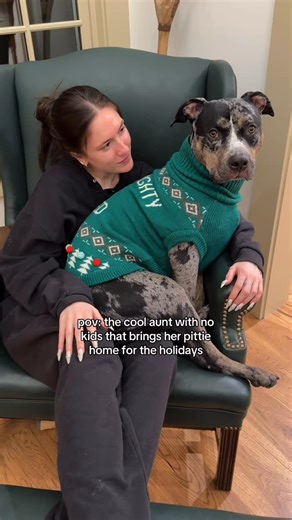 HONDO on Instagram: "and he’s in a festive sweater OF COURSE #pittielove #pitbullsofinstagram #pittiesofinstagram #bullybreeds #pittiemix"