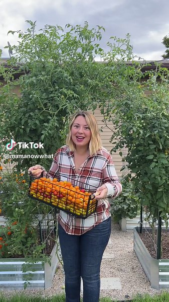 Egg Hacks for Tomatoes: Boost Your Plants with This Surprising Tip