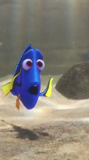 Dory and Hank End Up in Kids Zone | Dory Looks For Hank While Dodging Hands - Finding Dory Scene 46