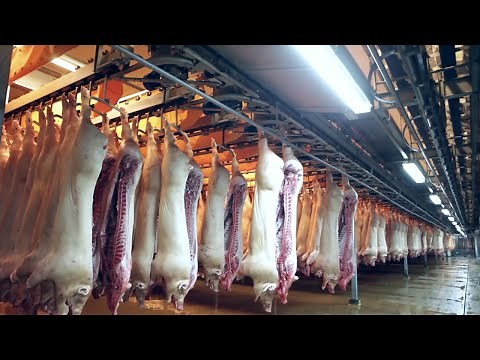 Amazing Pig Farm Technology - Modern Pig Slaughter & Processing Factory - Gourmet Sausage Production