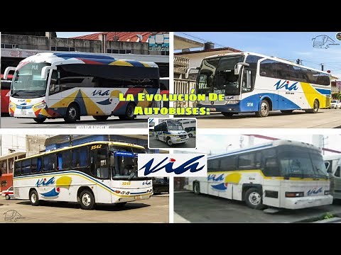 Autobuses Línea Vía Rápido 🚍👌🏻 | Mobility ADO