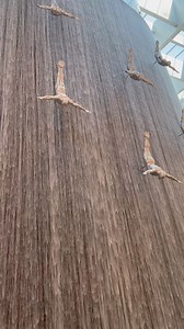 Waterfall Fountain Dubai Mall 💕 | Welcome to Dubai