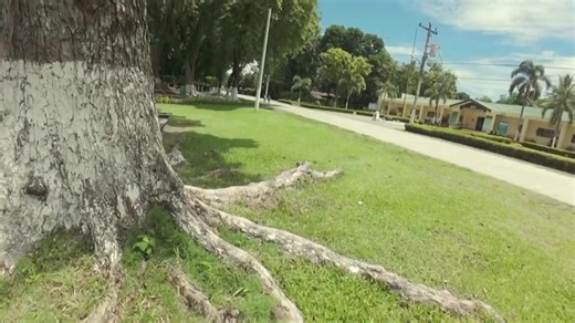 DPPF 2025 Year-End Evaluation On 12 December 2025, Davao Prison and Penal Farm (DPPF) marked the conclusion of another productive year with its 2025 Year-End Evaluation and Awarding Ceremony held at DPPF Reservation Covered Court, aimed to reflect on the year’s achievements, assess overall performance, and recognize outstanding contributions from various departments. The program formally opened with a welcome message delivered by C/SINSP ARGIE H ADEL, Officer-in-Charge (OIC) Deputy Superintenden