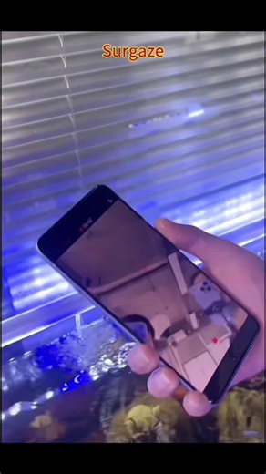 Introducing the Huawei Mate60 Pro - Your Ultimate Smartphone Companion