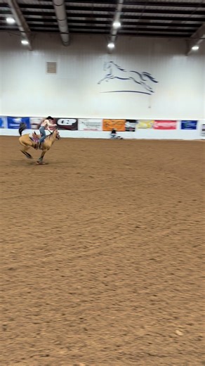 Bucking horse or barrel horse?? (Yes i took her to see the vet) #barrelracing #BBR #BBRfinals #bucking #rodeowrecks