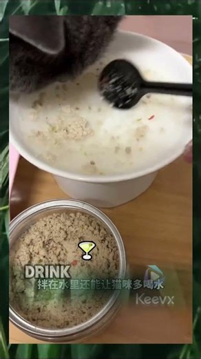 Grumpy cat turns adorable: You won't believe this black cat's antics