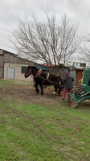 Ján Gavala (@jano.gavala)’s videos with Takiego Janicka - TerazMy