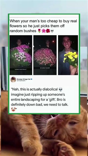 he ripped up the whole neighborhood landscaping for a "gift"| funny memes | dank memes | viral memes