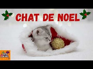 CHANSON CHAT DE NOEL 😸🎄 "Le Chat du Sapin de Noël✨ #noël #chansondenoel #chat #musiquedenoël