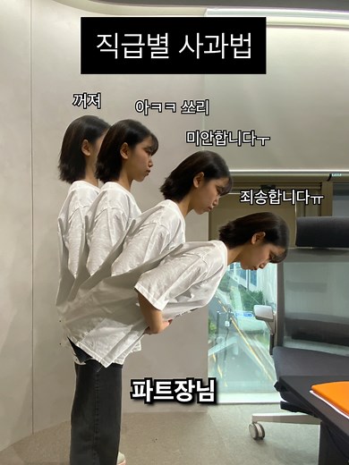 직급별 사과법: 직장인 공감 패러디