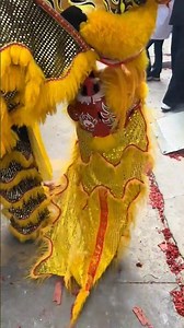 Adorable little lion cub interacting with the lion dance troupe, the scene is so healing! #CuteLi...