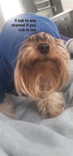 make subscription public!