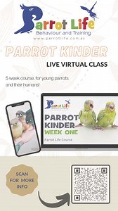 2.3K views · 21 reactions | 列✨ Exciting News! Introducing our brand...