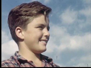 Ship Crash Investigation: Harbor Pilot Navigation in Dense Fog