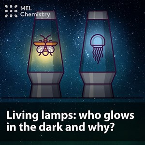 140K views · 403 reactions | Bioluminescence is another amazing example of how beautiful nature is  For cool and safe experiments sign up to MEL Science here: https://goo.gl/Ssyjdk | MEL Science | Facebook