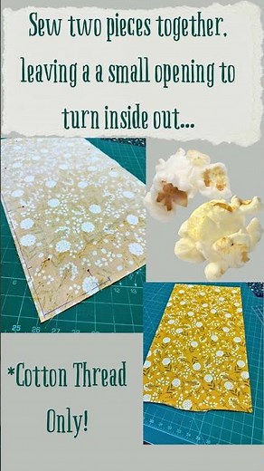 Sew A Reusable, Eco-Friendly Popcorn Bag with Me! TheNickStitch.com