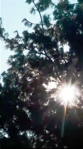 Manali Time-lapse | Dancing Clouds Across the Sky