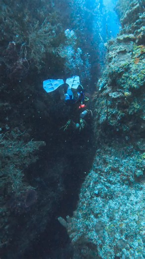 🌊 Welcome to Mary’s Place, one of our most iconic dive sites! 🌟 This location features a large crack that defines the site, attracting divers with its unique underwater landscape. 🐠✨ It's a favorite among our community, offering breathtaking views and incredible marine life all around! 🌈 So, would you dive into Mary’s Place and explore its hidden treasures? 🤿 #ReefGliders #MarysPlace #DiveSite #UnderwaterExploration #DivingCommunity #MarineLife #IconicDives #AdventureAwaits #ExploreTheDepth