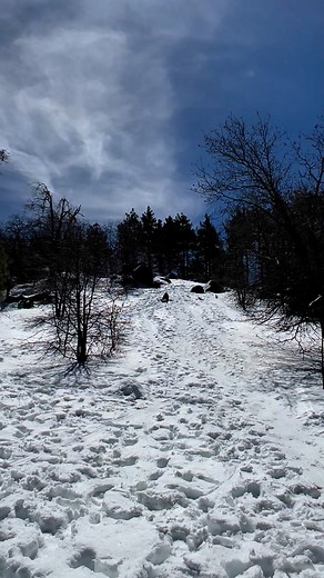 Snow boarding@ Mount Laguna,CA... #fbreelsfypシ゚viralvideo #followerseveryonehighlights #fbfollowers #fbreelsfypシ゚viralシ #stareverywhere #snowboarding | Cherry Cardenas Velasco