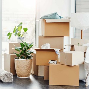 Moving Checklist: 15 Essential Steps for a Stress-Free Move - Tools Doctor