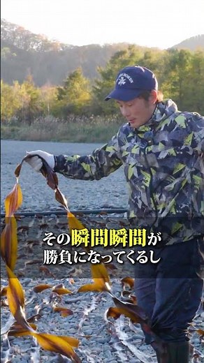 【ヤバすぎ】漁師の一日が過酷すぎる #北海道 #十勝 #漁業 #漁師 #ルーティン