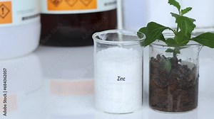 Zinc fertilizer, Experimenting with chemical fertilizers for agriculture, scientific experiment