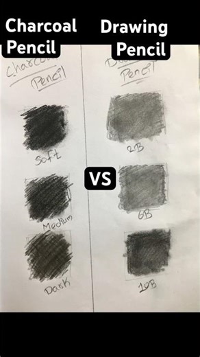 Drawing Pencil vs Charcoal Pencil ✏️ #drawing