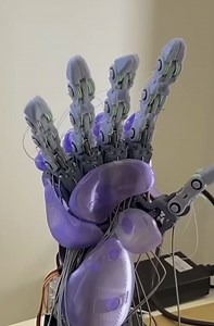 Humans vs robots what’s the difference?