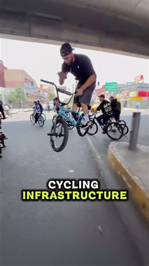 Why Do the Dutch Love Bicycles So Much? 🚲🇳🇱?? #documentary #geography #bicycleroute