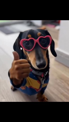 Nicky March on Reels