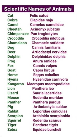 Scientific Names of Animals #shortvideo #viral #shorts #trending# Scientific Names of Animals list