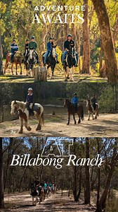 1.1K views · 22 reactions | Horse Trail Rides at Billabong Ranch  Enjoy a laid-back 1 hour scenic ride through our bush tracks and along the creek. Fresh air, country vibes and memories waiting to be made. Book now – spots fill fast!  03 5483 5122 | Billabong Ranch | Facebook
