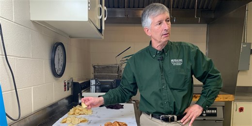 Researchers have spent decades breeding better potatoes for chips, and their work isn’t done