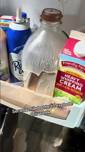 Milk Spills All Over Refrigerator After Bottle Explodes - 1525705