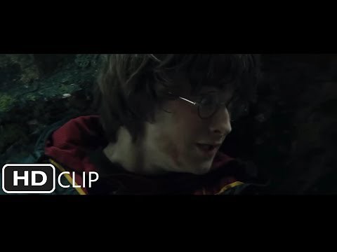 The First Task (Part 2) | Harry Potter and the Goblet of Fire