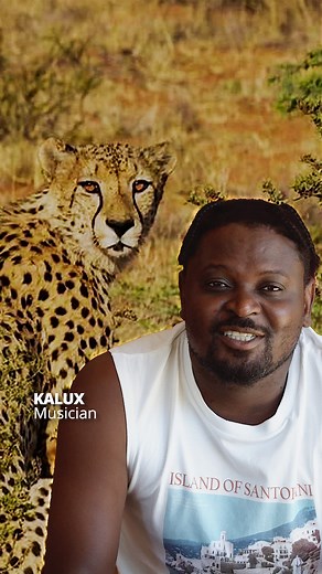 66 reactions | Did you know that Namibia has the largest population...