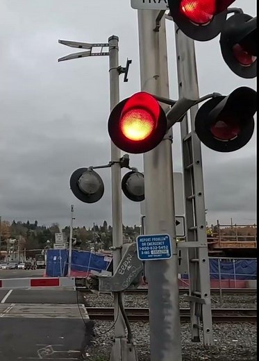 Active🚂BNSF Railroad Amtrak Passing By ASMR [Washington State USA]