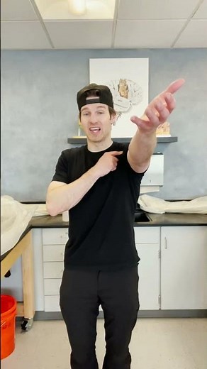 How the Pecs Really Work!