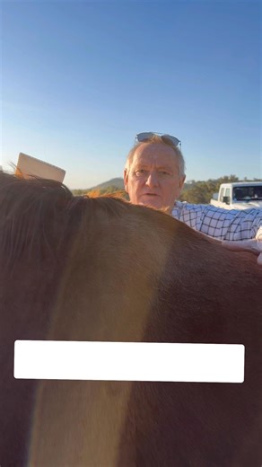 23K views · 635 reactions | A card system to enhance your...