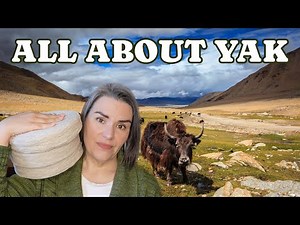 ALL ABOUT YAK - My Favorite Yarn Ever