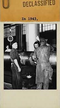 The Commander Who Never Came Back, James Wiggins Coe | #history #fyp