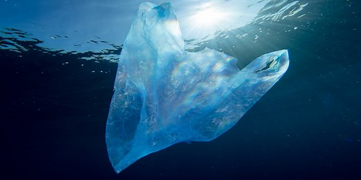 10 Reasons Why Plastic Bags Should Be Banned | Greentumble