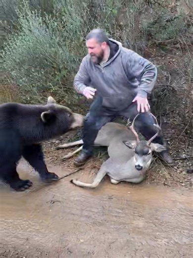 Sum bitch tried to take my buck....not sure why the buck came back to life ...it was a pretty good shot..🤣🤣 | Danny Cox