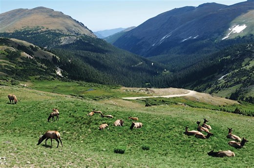 Venado Valley by Toll Brothers