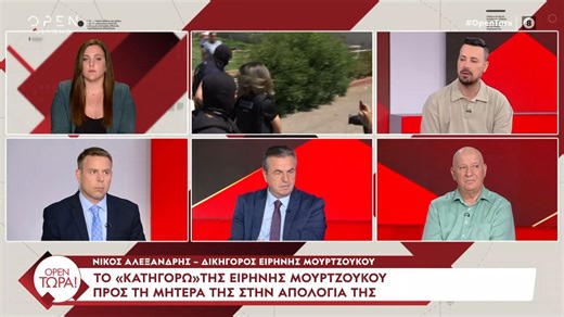 Ν. Αλεξανδρής: «Αυτά που αναφέρει στο υπόμνημα δεν χρησιμοποιούνται για να δικαιολογήσει τις πράξεις της - Γι' αυτές θα πάει πολλά χρόνια μέσα»