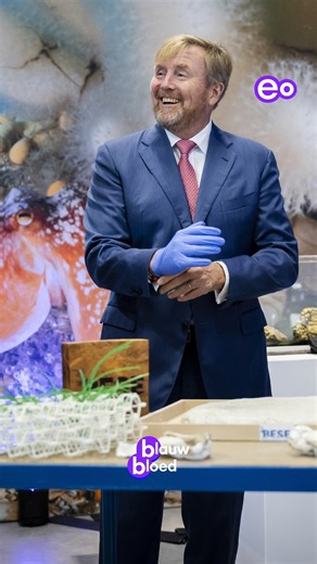 Koning Willem-Alexander in IJmuiden 👑 | Blauw Bloed
