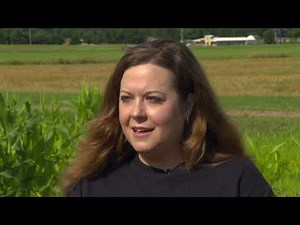 The Corn Leafhopper is Back