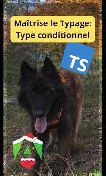 TypeScript Type : Type Conditionnel #typescript #angular